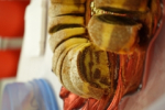 thumbs_DSC09743